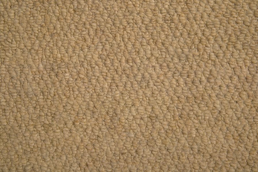 Carpet Cleaning Services l Natural Green Cleaning Process Lynchburg VA