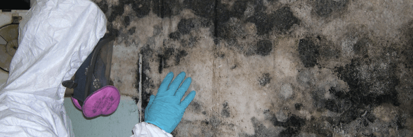 mold-removal lynchburg va