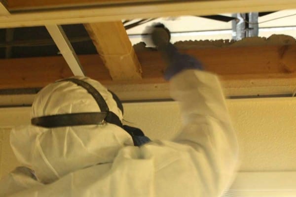 mold removal montreat college first restoration services