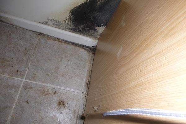 mold in bathroom first restoration services