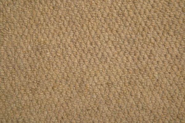 textured cut pile carpet
