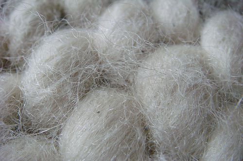 wool fiber carpet