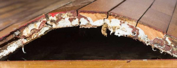 water-damage-lynchburg-va