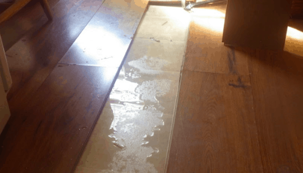 water damage cost